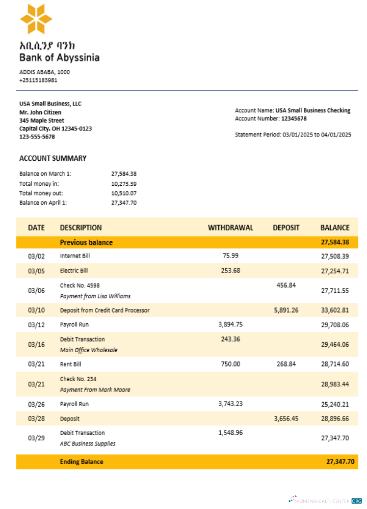 Download Bank of Abyssinia business bank statement Word and PDF format Photoshop template